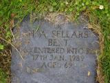 image of grave number 919773